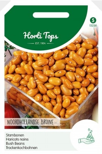 Fazuľa kríčková Noordhollandse Bruine 100 g